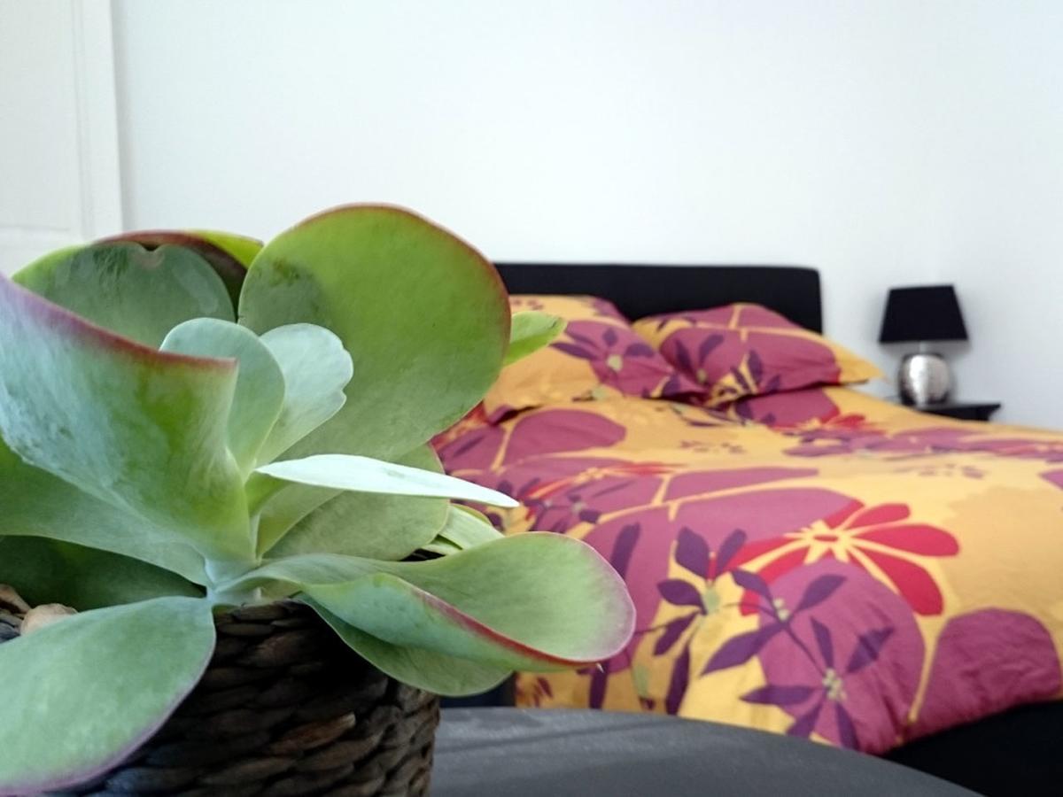 Le Clos Chez Michel Montpellier Eksteriør bilde